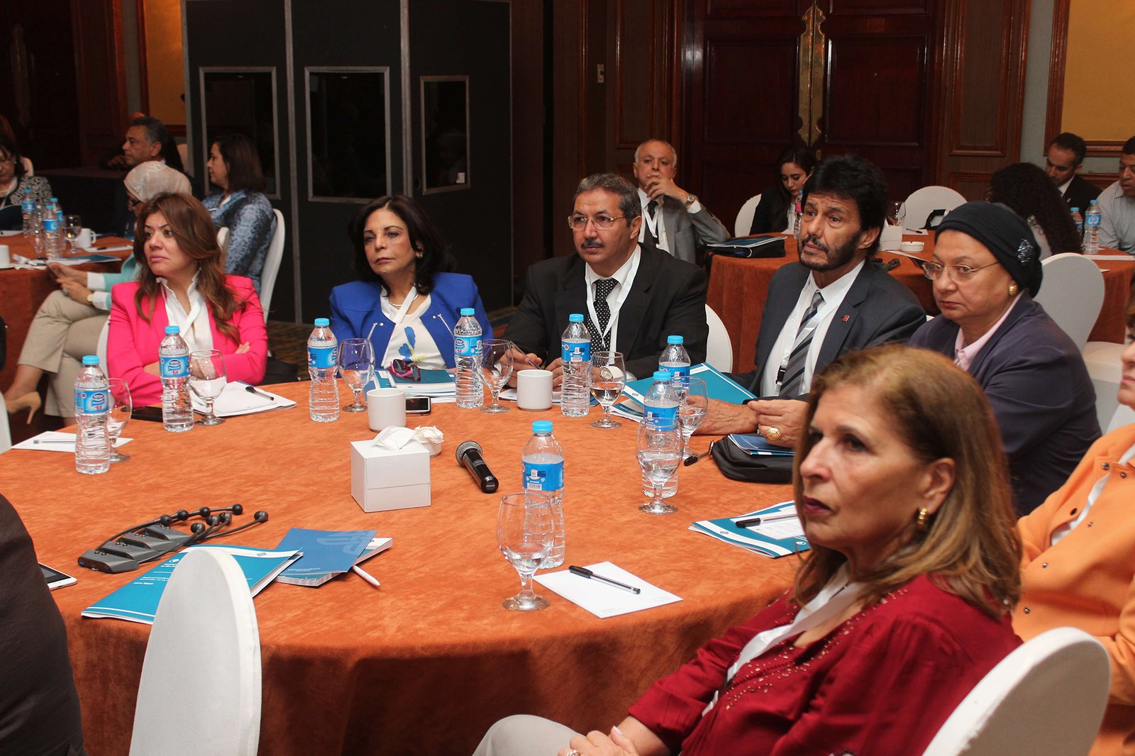 Universal Access to Quality Healthcare in Arab Countries – Regional Conference – Cairo, Egypt | November 12–13, 2016