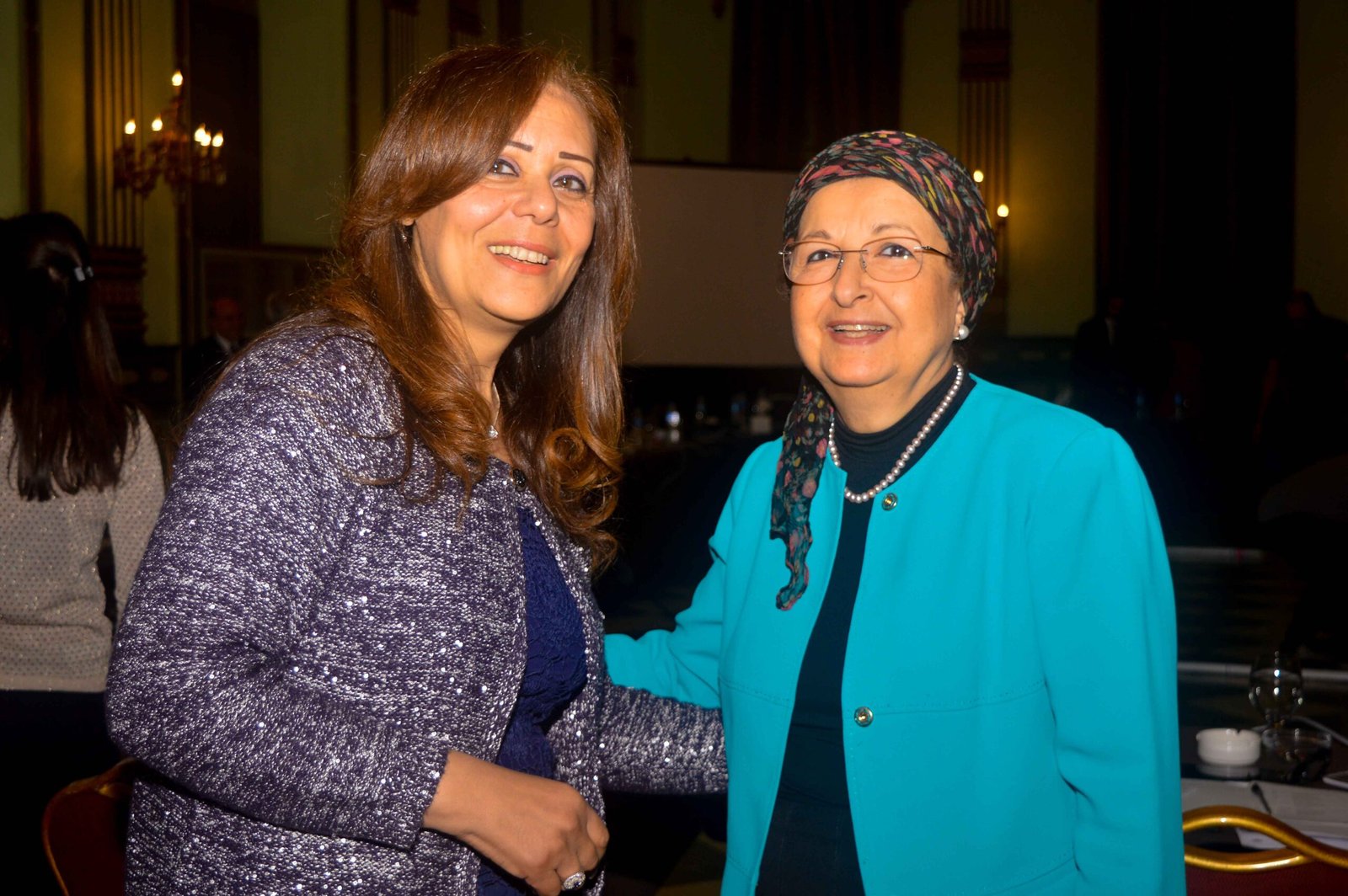 UNFPA Expert Group Meeting on the Assessment of SRH Integration in Selected Arab Countries | November 11, 2017