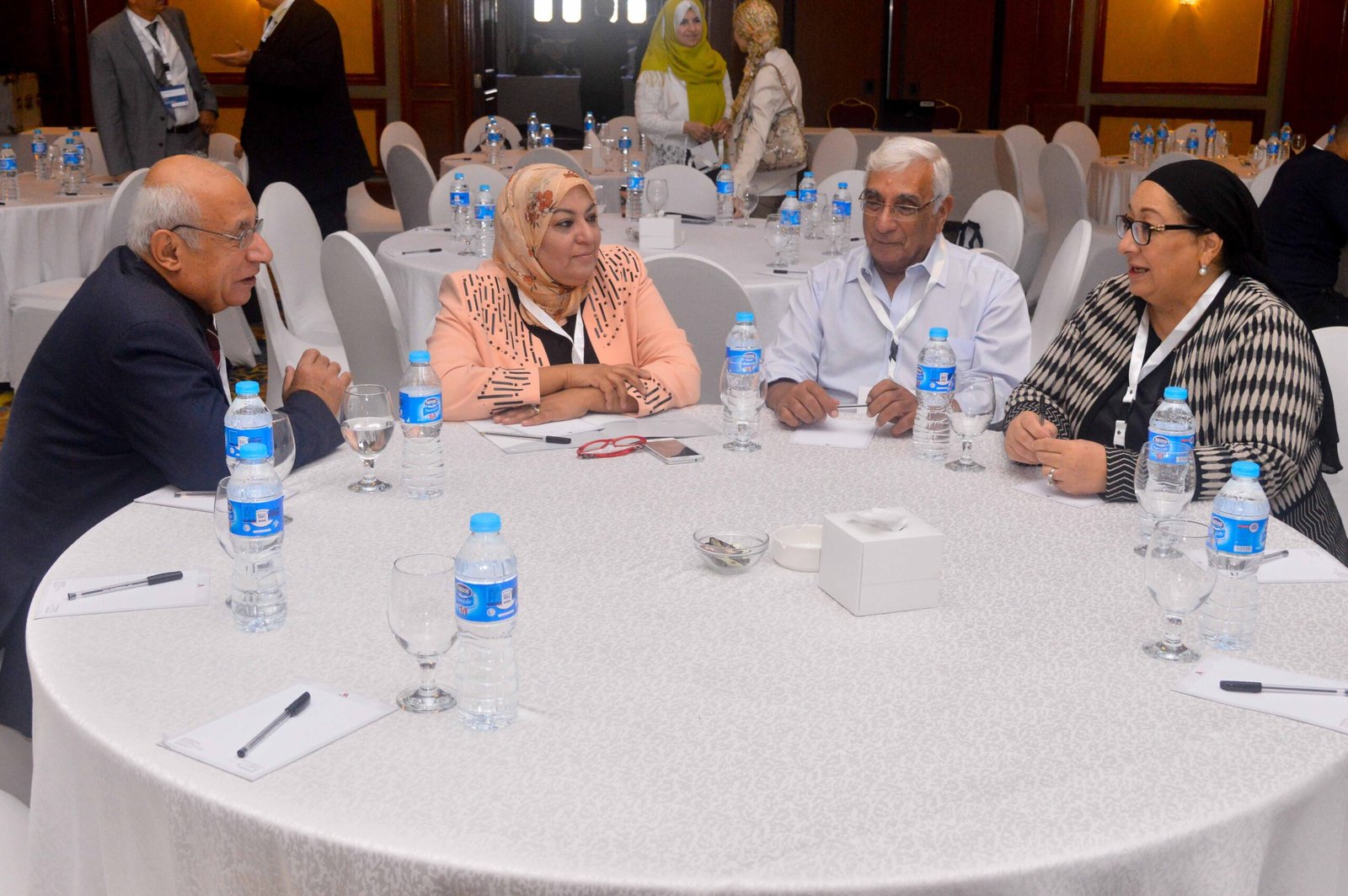 Public-Private Partnership for Universal Health Coverage – Cairo, Egypt | November 12–13, 2017