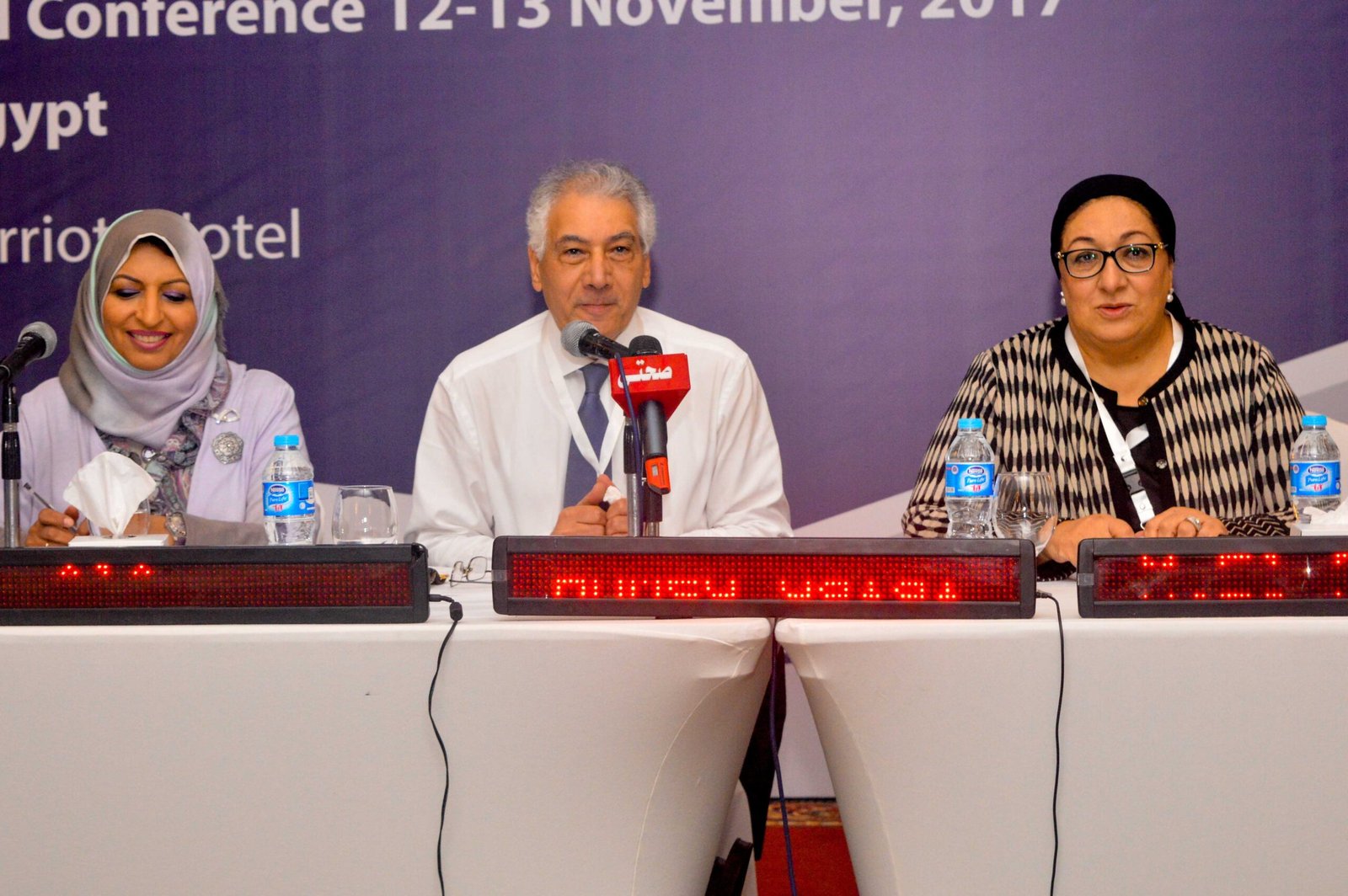 Public-Private Partnership for Universal Health Coverage – Cairo, Egypt | November 12–13, 2017