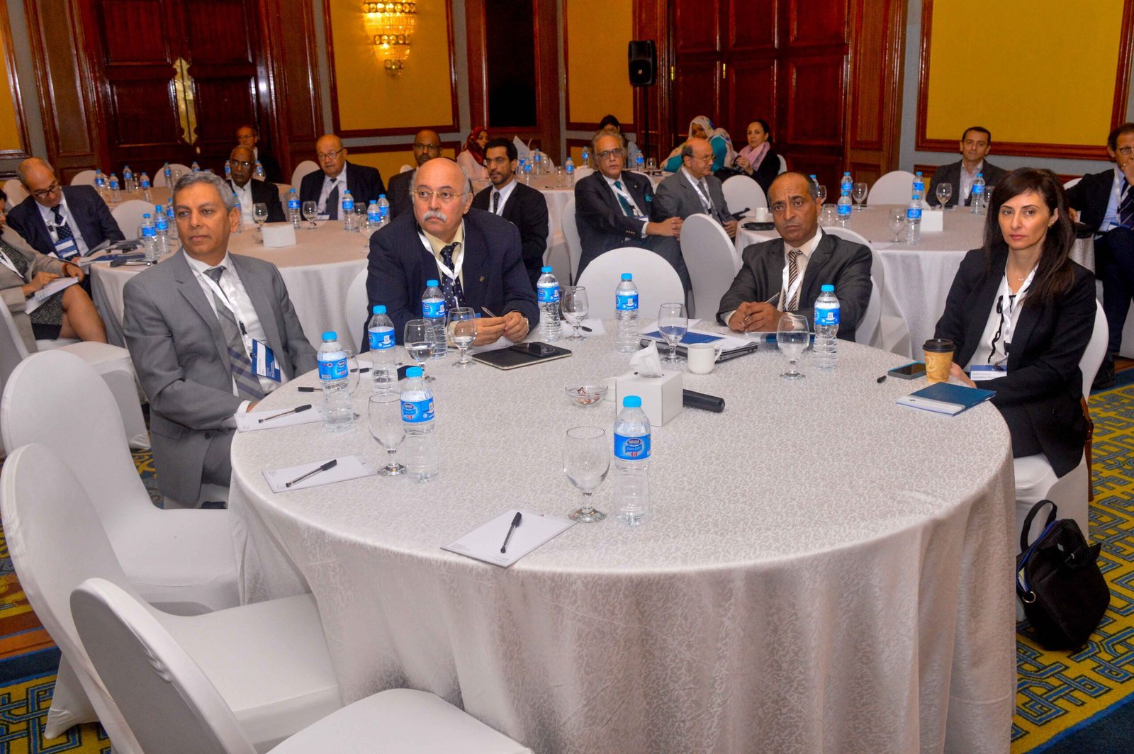 Public-Private Partnership for Universal Health Coverage – Cairo, Egypt | November 12–13, 2017