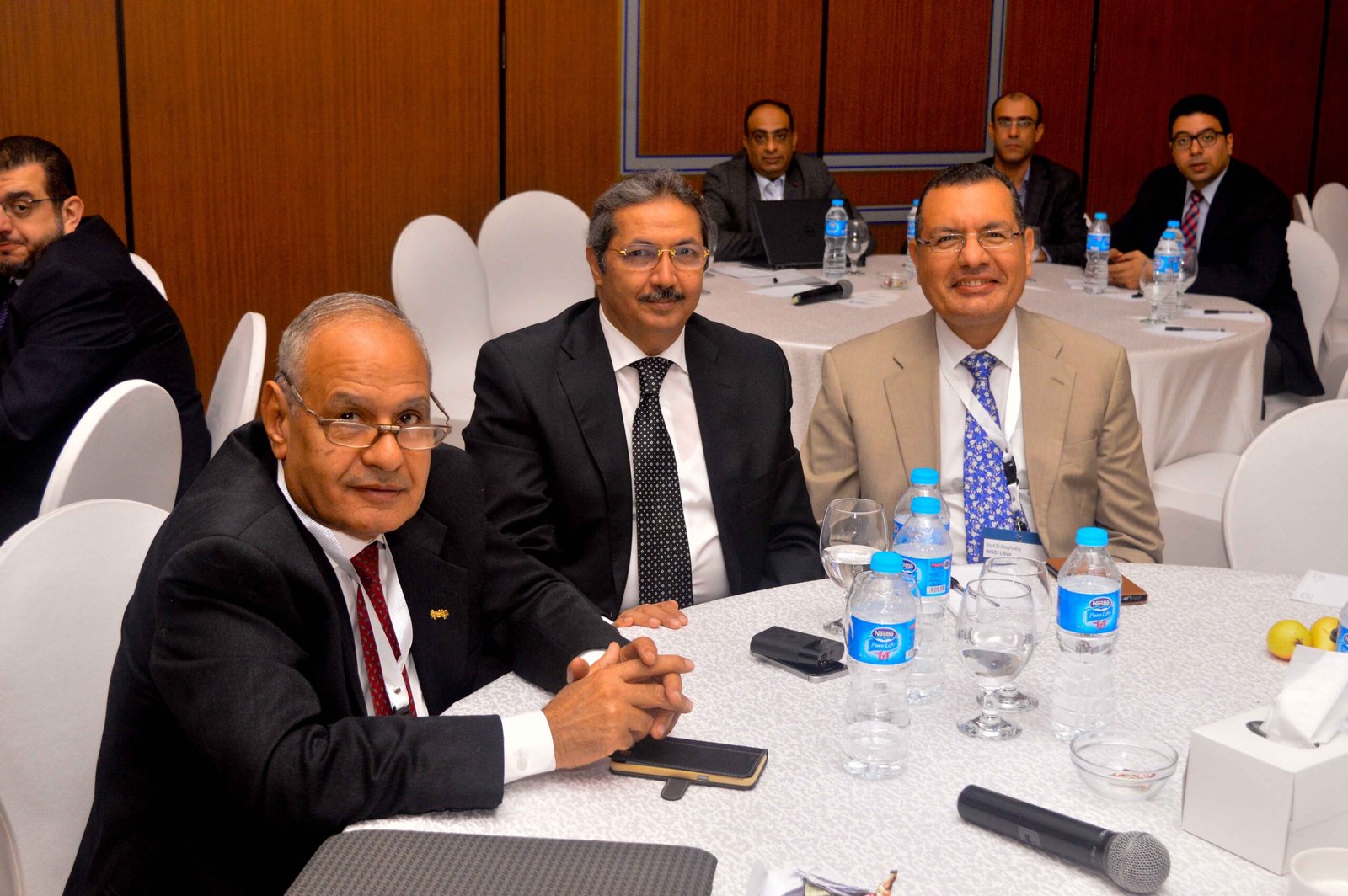 Public-Private Partnership for Universal Health Coverage – Cairo, Egypt | November 12–13, 2017