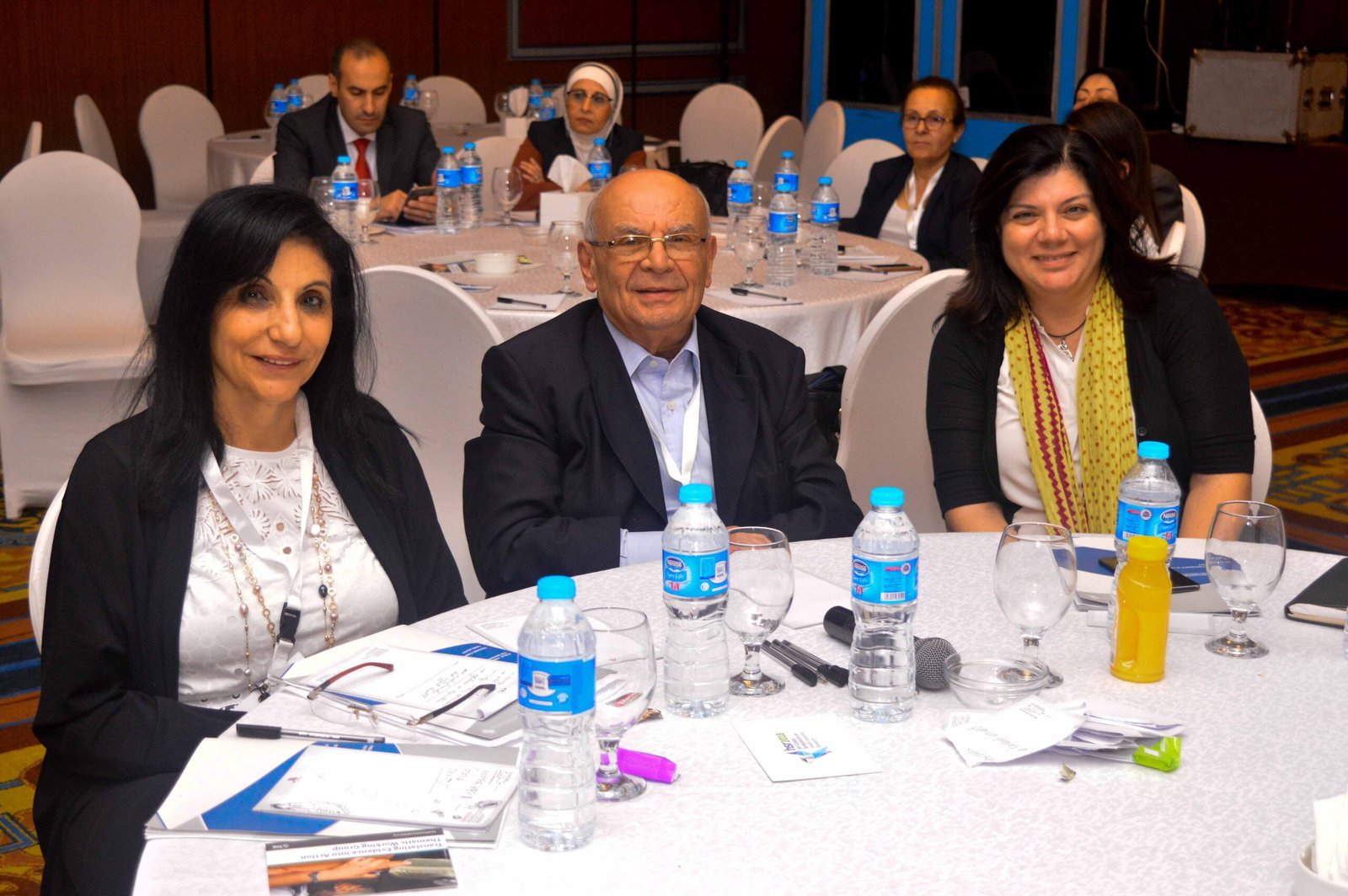 Public-Private Partnership for Universal Health Coverage – Cairo, Egypt | November 12–13, 2017