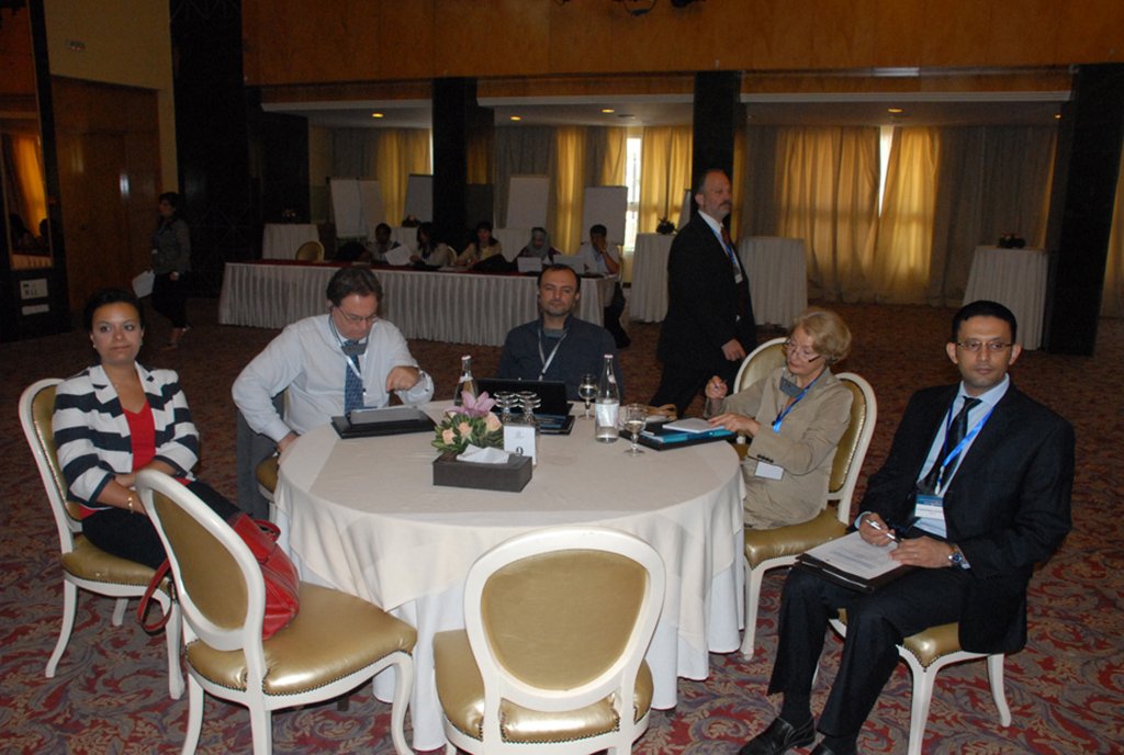 MENA HPF Regional Meeting – Tunis, Tunisia | June 8–9, 2012