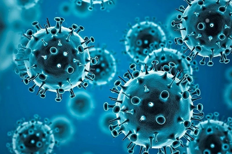 First MENA HPF Virtual Meeting amid the COVID-19 Pandemic
