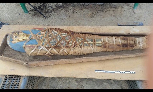Egypt Genome Project Uncovers Millions of New Genetic Variants